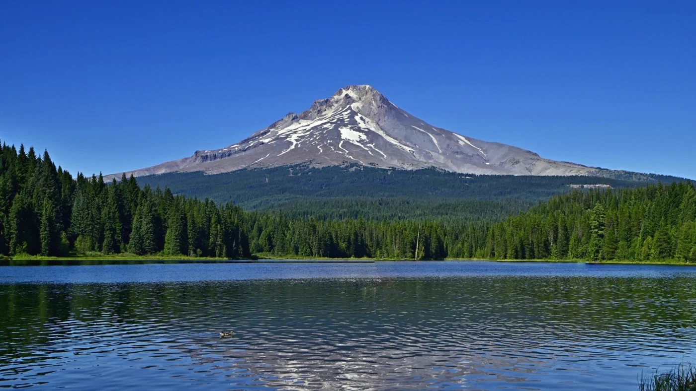 Oregon Land Title Company Closing Steps Oregon land guide